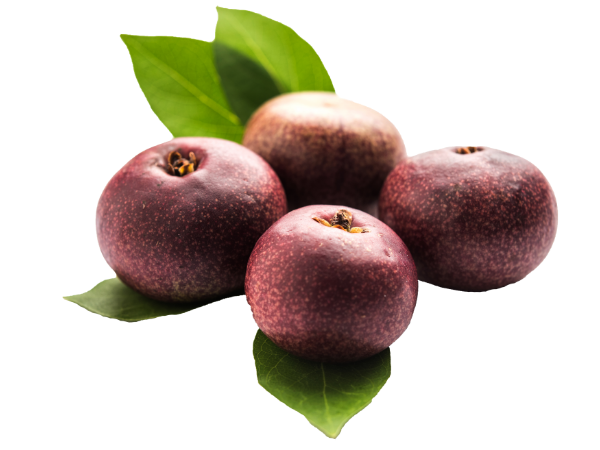 Supports Skin’s Elasticity. Hypoallergenic & Gentle .Opens Your Skin’s Pores.